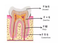 紫金县为什么牙齿会越来越黄，怎么才可 